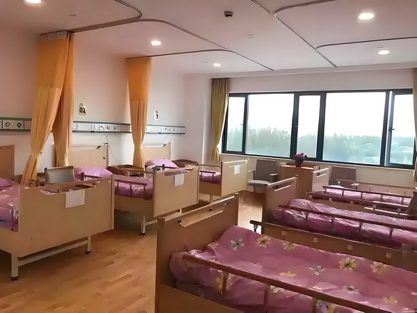 大学生转深圳户口办理流程_阿娇一个人独居北京3居室，自称比香港要便宜 步二次元产业起国内