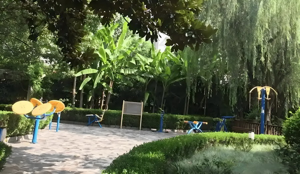 深圳落户考证_袁姗姗哀牢山“上班记”：当明星特权遇上蚂蟥 老院合适选择如何的养